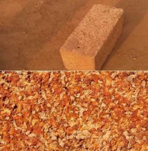 Laterite Bricks